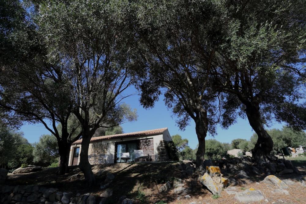 منزل الضيف سانت أنطونيو دي غالورا  في Liscia Country Relais المظهر الخارجي الصورة