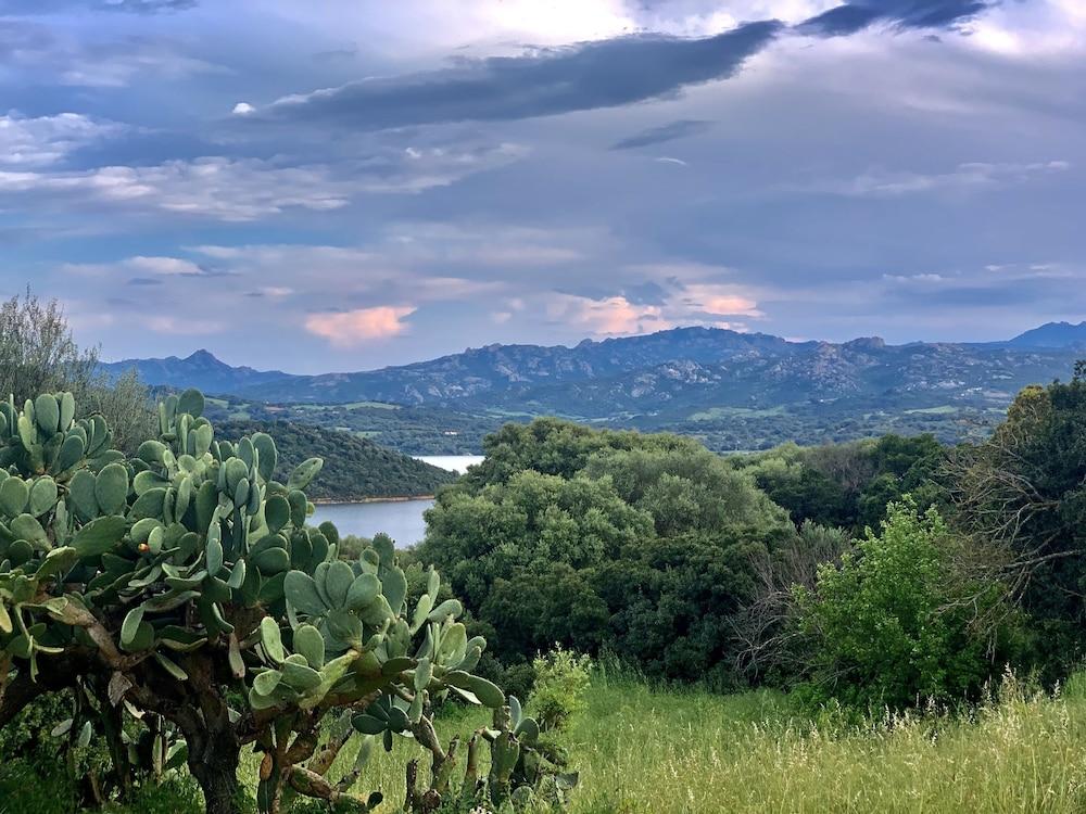 منزل الضيف سانت أنطونيو دي غالورا  في Liscia Country Relais المظهر الخارجي الصورة