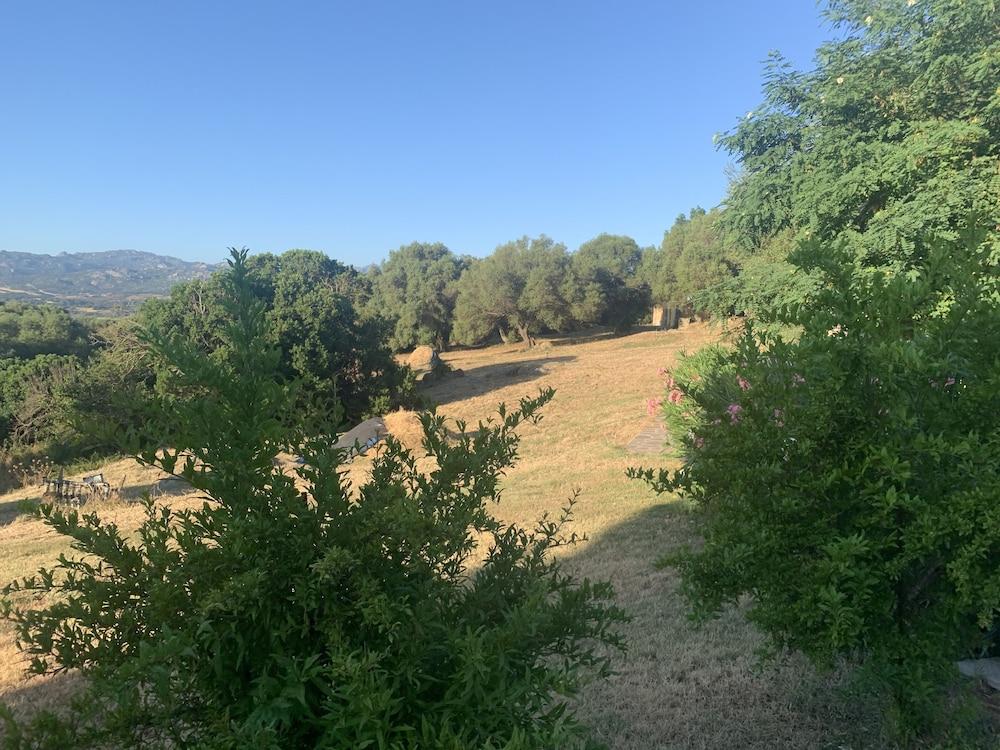 منزل الضيف سانت أنطونيو دي غالورا  في Liscia Country Relais المظهر الخارجي الصورة