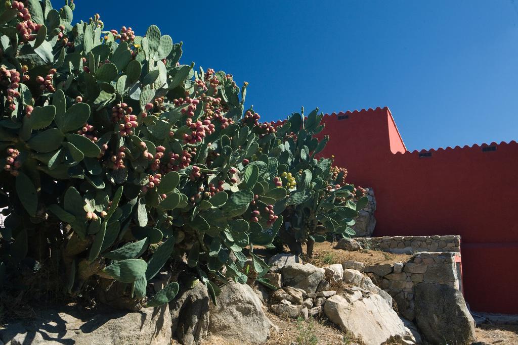 منزل الضيف سانت أنطونيو دي غالورا  في Liscia Country Relais المظهر الخارجي الصورة