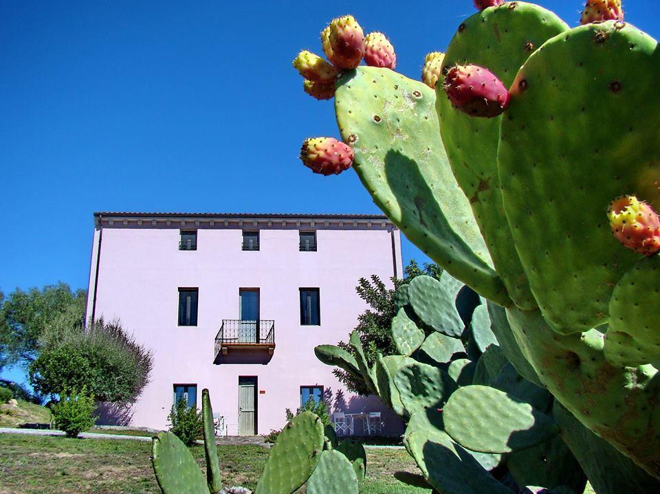 منزل الضيف سانت أنطونيو دي غالورا  في Liscia Country Relais المظهر الخارجي الصورة