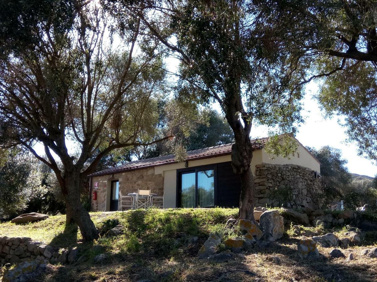 منزل الضيف سانت أنطونيو دي غالورا  في Liscia Country Relais المظهر الخارجي الصورة